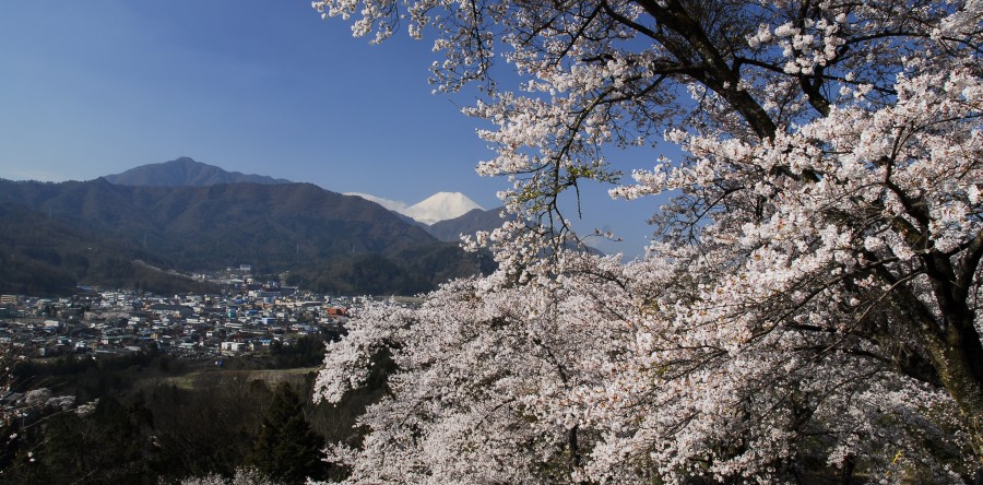 30歳の同窓会 お子様同伴のご参加者へ