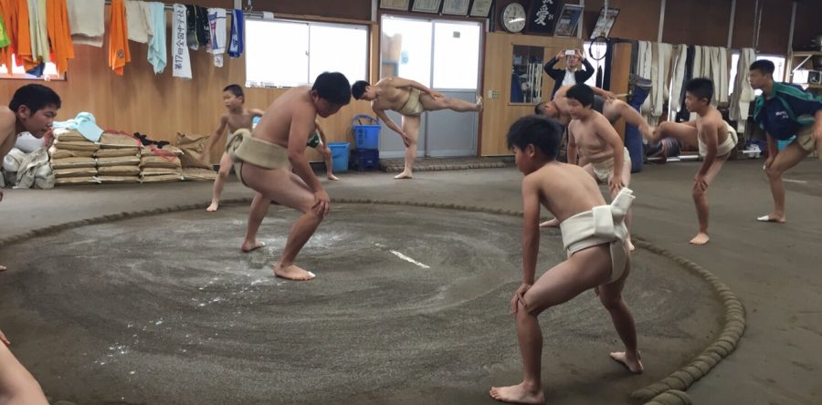 わんぱく相撲 練習会
